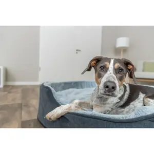 Hondenbed Trixie Vital Lino Soft image-3