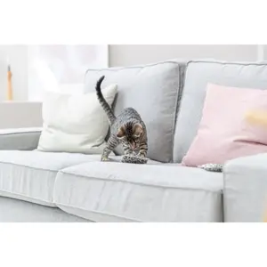 Kat speelgoed valeriaan kussen Trixie image-1