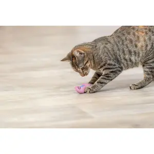 Plush toys for cats Trixie Hippocampe image-5