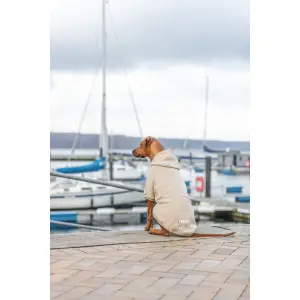 Hondenshirt met capuchon Trixie BE Nordic Flensburg image-3
