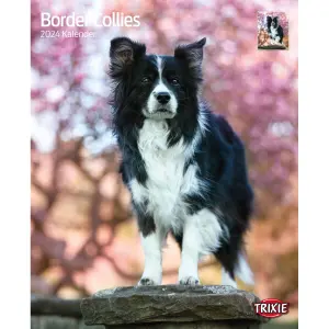 Kalendář Trixie Borders Collies image-0