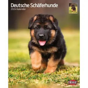 Kalender Trixie Bergers Allemands image-0