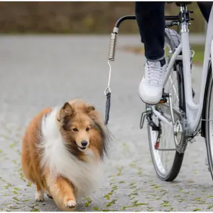 Trela de bicicleta para cão Trixie image-3