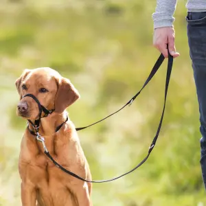 Harnas voor het trainen van honden Trixie Top Trainer image-1