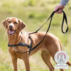 Sele för träning av hundar Trixie Lead'n'Walk Soft image-1