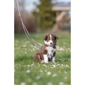 Hondentuig met riem Trixie image-1