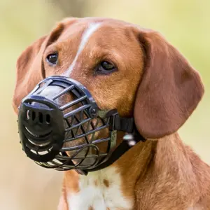 Plastic dog muzzle Trixie image-1
