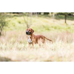 muselières pour chien en plastique Trixie image-1