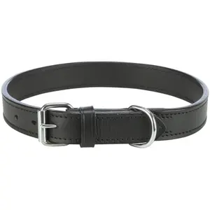Hundehalsband aus Leder Trixie Active image-0