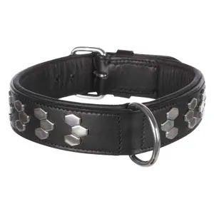 Collier pour chien avec design stylisé en cuir Trixie Active image-1