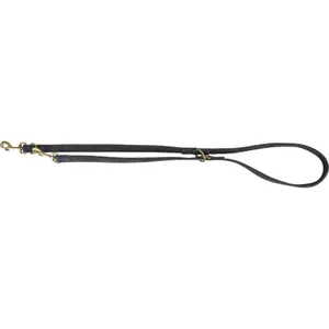 Adjustable dog leash Trixie Pure