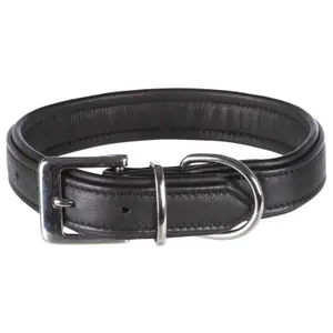 Coleira de couro para cães Trixie Active Comfort image-0
