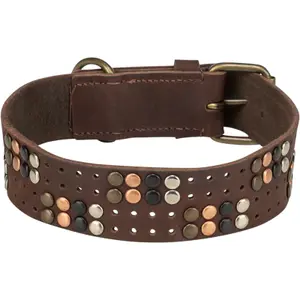 Rustic leather dog collar with studs Trixie image-2