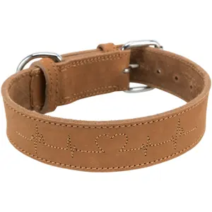 Collar para perro de cuero encerado y envejecido Heartbeat Trixie image-1