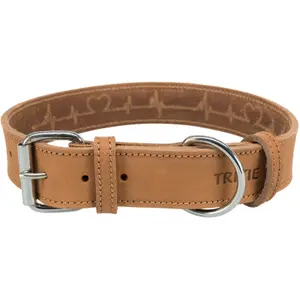 Collar para perro de cuero encerado y envejecido Heartbeat Trixie image-0