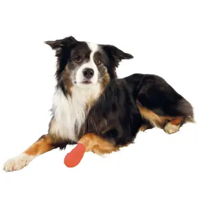 Tiras de crepé autoadhesivas surtidas Trixie image-5