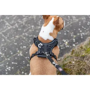 Dog harness Trixie Premium FlexMesh image-1