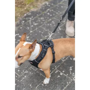 Dog harness Trixie Premium FlexMesh image-2