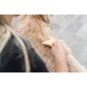 Entfilzungskamm für Hunde mit langem Fell aus Bambus/Metall Trixie image-3