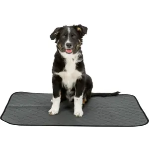 Hygienic dog mat Trixie Nappy Wash image-2