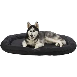 Coussin pour chien ovale Trixie Samoa Classic image-0