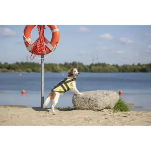 Schwimmfähige Sicherheitsweste für Hunde Trixie image-1