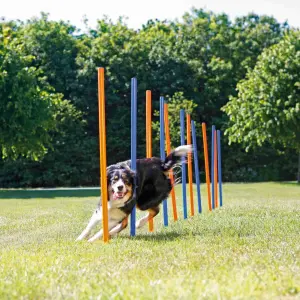 Jouet pour chien - Barre en plastique Trixie Slalom Fun Agility image-3