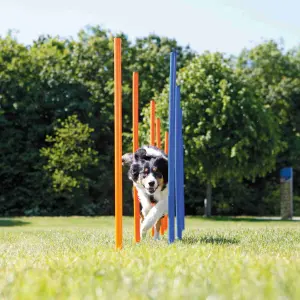 Jouet pour chien - Barre en plastique Trixie Slalom Fun Agility image-1