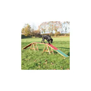 Hondenspeeltje - doorgang Trixie Fun Agility