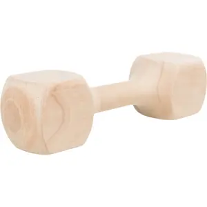 Rond houten speelgoed voor honden Trixie image-0