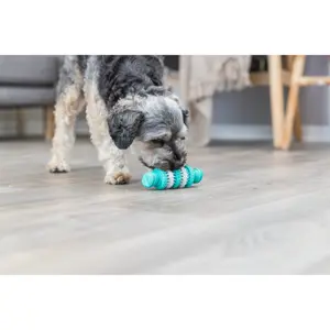 Hundespielzeug aus Naturkautschuk Trixie Denta Fun os image-0