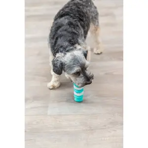Hundespielzeug aus Naturkautschuk Trixie Denta Fun os image-2
