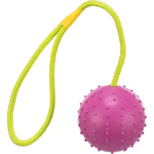 Hundespielzeug Ball am Seil aus Naturgummi Trixie image-0