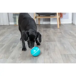 Μπάλα για σκύλο από πλαστικό Trixie image-1