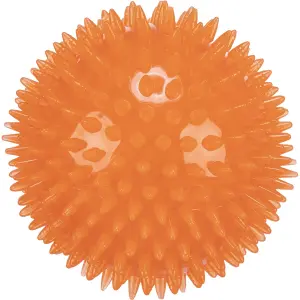 Hundespielzeug Igelball aus tpr Trixie image-0