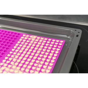 Cat cushion with hearts, silicone Trixie image-3