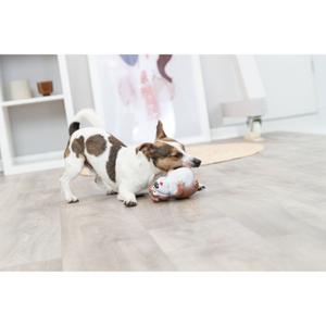 Hundespielzeug aus Latex Trixie image-4