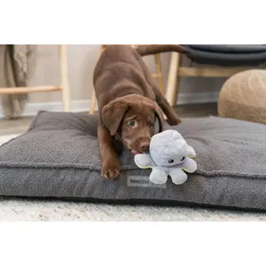 Brinquedos para cães - Polvo de peluche reversível Trixie image-2