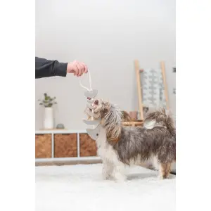 Fish bone dog toy on leather rope Trixie image-2