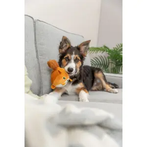 Round squirrel plush toy for dogs Trixie image-2