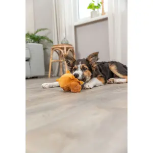 Round squirrel plush toy for dogs Trixie image-4