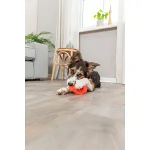 Jouet peluche pour chien renard rond Trixie image-2