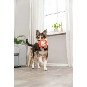 Jouet peluche pour chien renard rond Trixie image-4