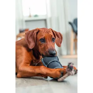 Hundespielzeug Flasche am Stoffseil Trixie Be Nordic image-4