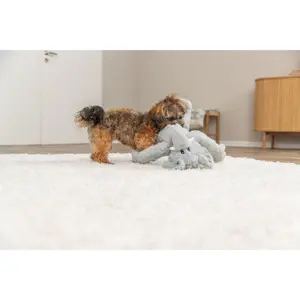 Knuffeldoekje kikker voor honden Trixie image-2