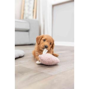 Gosedjur för hundar och grisar Trixie image-3