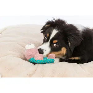 Set aus 3 Stoffhasen-Plüschspielzeug für Hunde Trixie image-1