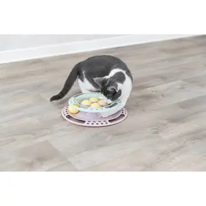 Katzenspielzeug kitten circle Trixie image-4