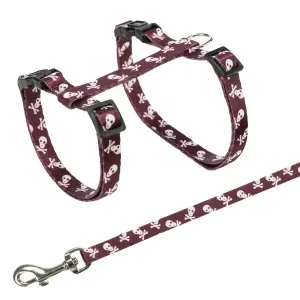 Set van 4 schedeltuigjes met riem voor katten Trixie image-1