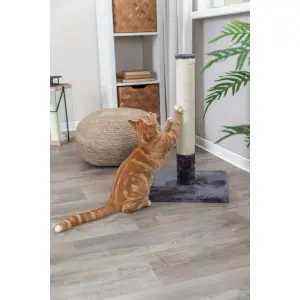Cat Scratching Post Trixie Batres image-1
